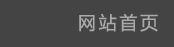 网站首页